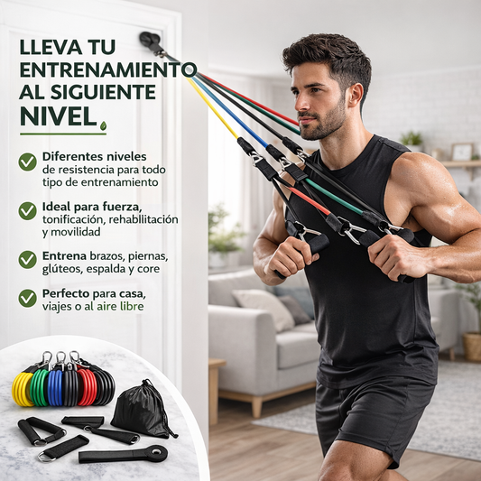 Bandas Elásticas Multi Pro Fitness + Bolsa Gratis